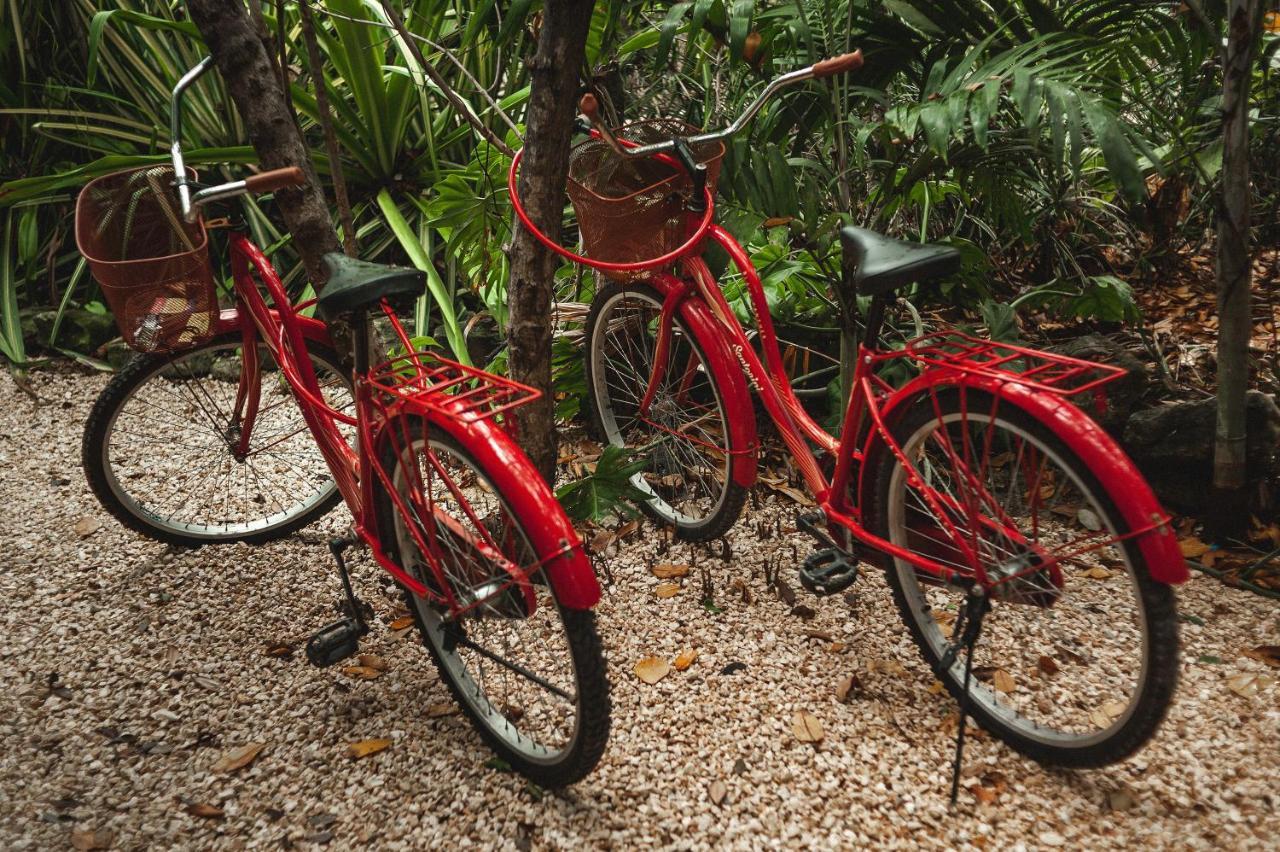 Casa Coyote Tulum Hotell Eksteriør bilde